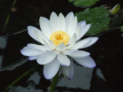DSCF6649.JPG