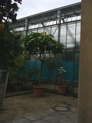 Boga Bonn 002.jpg