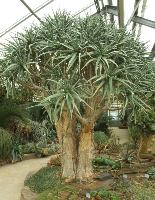 DSCF6674.JPG