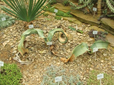 DSCF6672.JPG