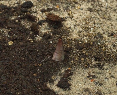 DSCF6641.JPG