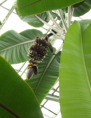 DSCF6685.JPG
