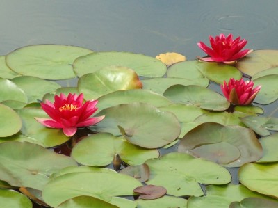 DSCF6697.JPG