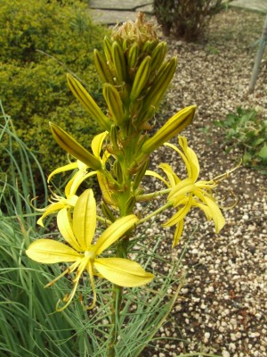 DSCF6694.JPG