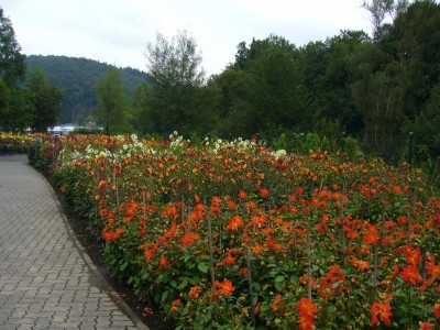 Boga Bonn 098.jpg