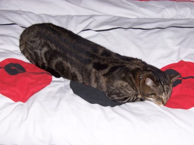 100_2585.jpg