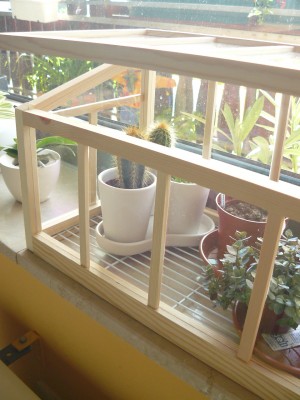 P1040497.JPG