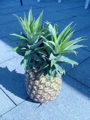 Doppelte Ananas.jpg