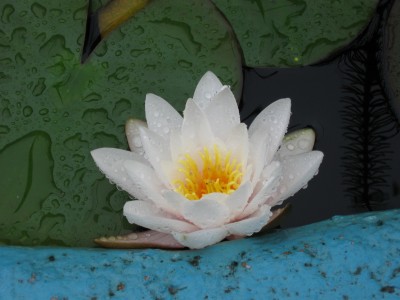 IMG_0208.jpg
