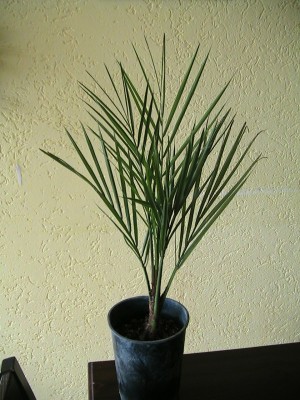 a 001.jpg