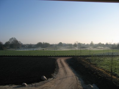 frostschutzapril05.jpg