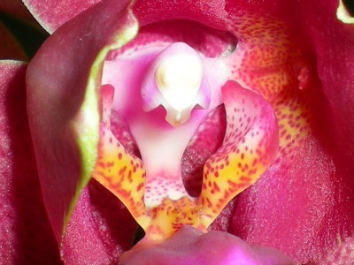 RSCN13340001.JPG