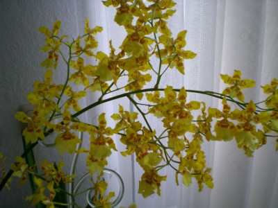 DSCN13320001.JPG