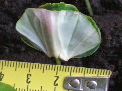 100_5071.jpg