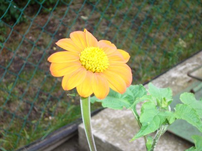 P1010535.JPG