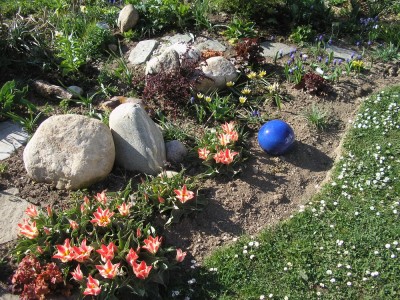 tulpenandere.jpg