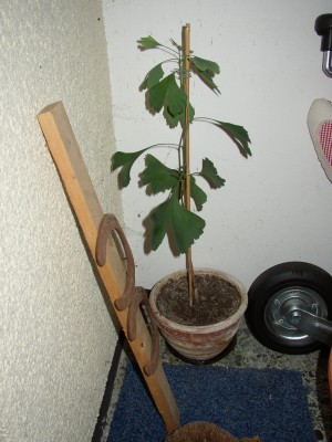 P1010022.JPG