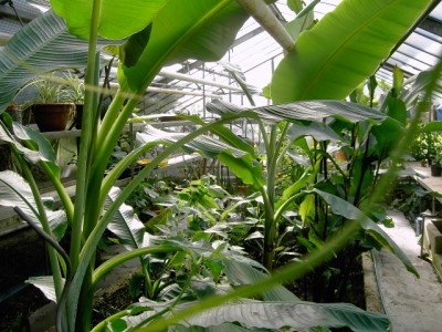 PICT1025.JPG