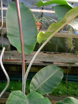 PICT1023.JPG