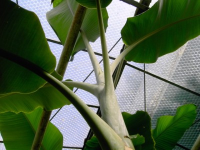 PICT1021.JPG