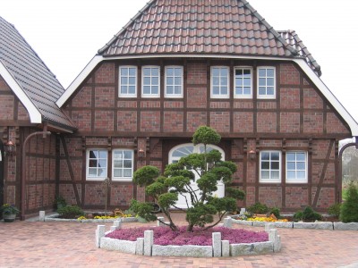 Impressionen aus dem Garten 012.jpg