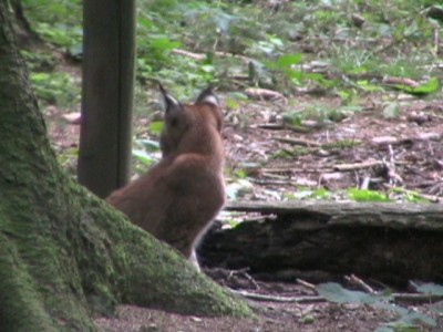 z 034.jpg