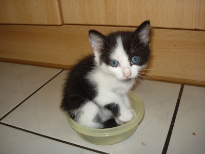 september 2008 329.jpg