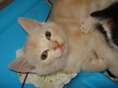 september 2008 333.jpg