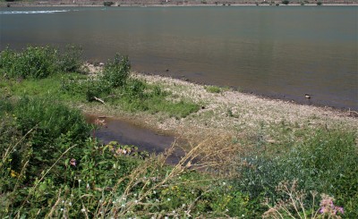 ufer.jpg