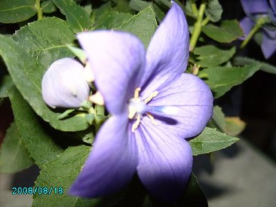 PICT0163.JPG