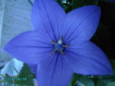 PICT0169.JPG