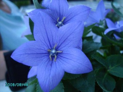 PICT0167.JPG