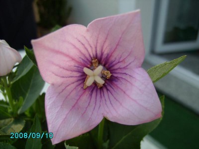 PICT0257.JPG