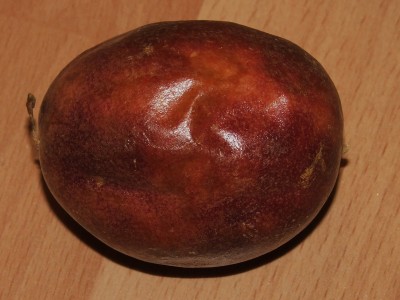 Passionsfrucht.JPG