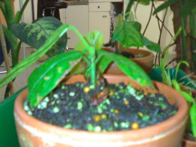 14092008203.jpg