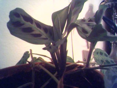 16-04-07_2035.jpg