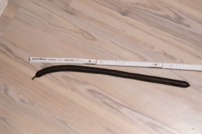 schote.jpg