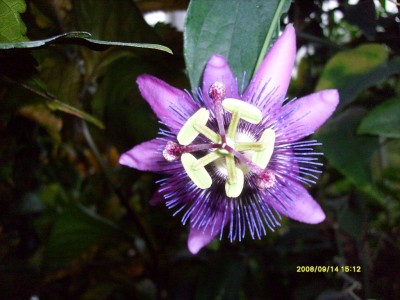 k-Botanischer Garten!008.JPG