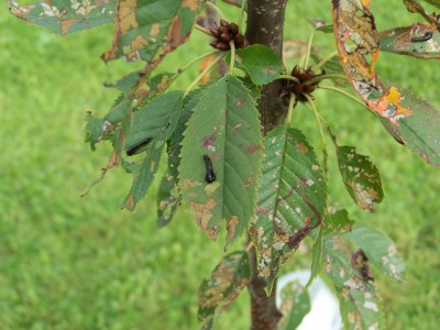100_6169.jpg