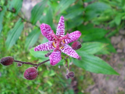 DSCN14540001.JPG