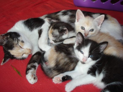 september 2008 330.jpg