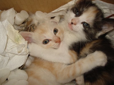 september 2008 336.jpg