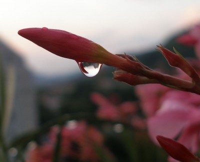 Olli und Wasser1.jpg