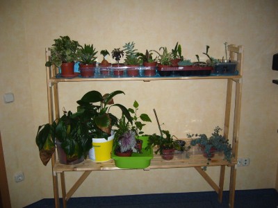 Herbst 013.jpg