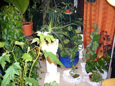Herbst 010.jpg