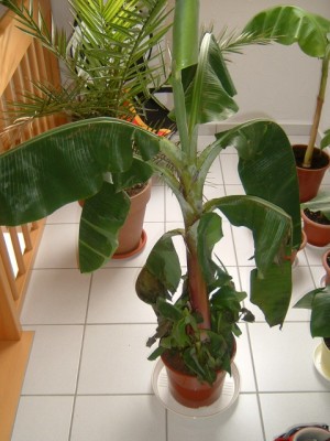 Bild004.JPG