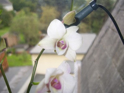 DSCI0003.JPG