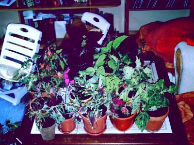 JMMU0313.JPG