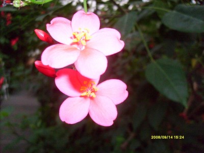 k-Botanischer Garten!023.JPG