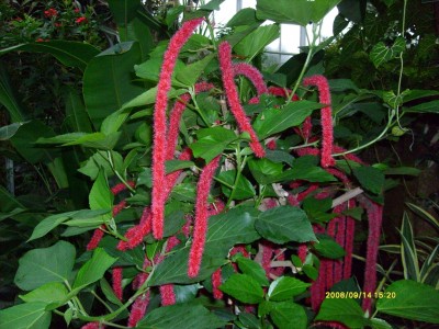 k-Botanischer Garten!019.JPG